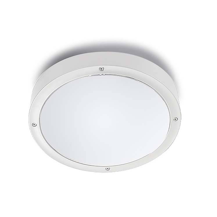 Настенно-потолочный светильник LEDS C4 Basic 15-9835-14-M1