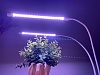 Светильник для растений Uniel MINIGARDEN UL-00007473