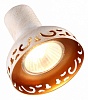 Спот Arte Lamp Focus A5219AP-2WG