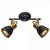 Спот Arte Lamp Jovi A1677PL-2GO