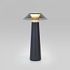 Настольная лампа декоративная Elektrostandard Future TL70200