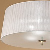 Накладной светильник Mantra Loewe 4740