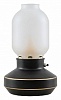 Настольная лампа декоративная Lussole Anchorage LSP-0568