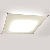 Потолочный светодиодный светильник Citilux CL701810A