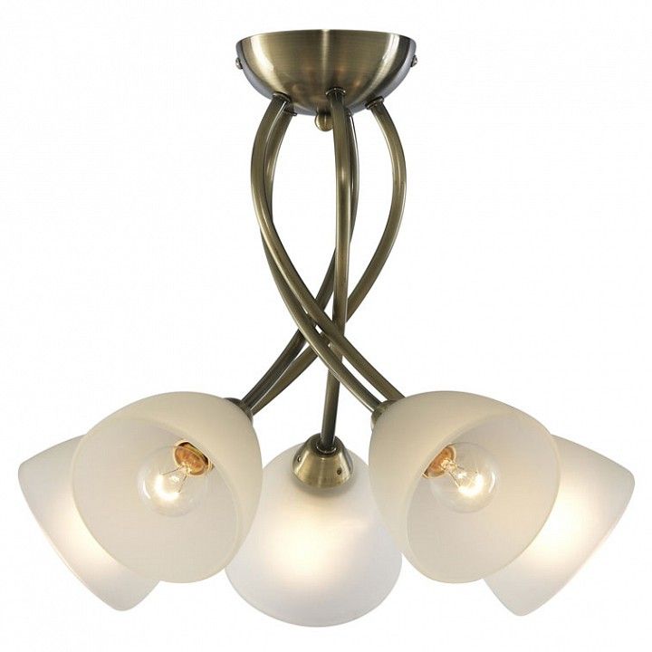 Потолочная люстра Arte Lamp Nikki A2576PL-5AB