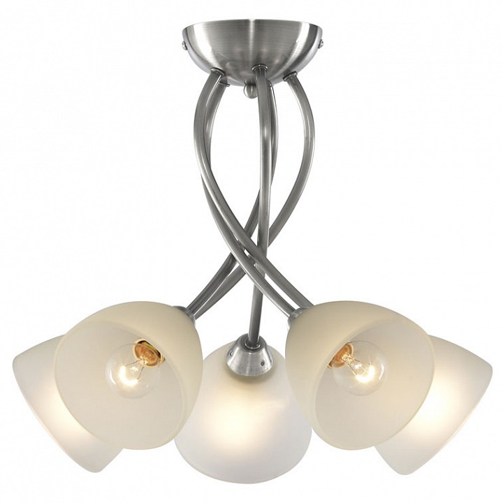 Потолочная люстра Arte Lamp Nikki A2576PL-5SS