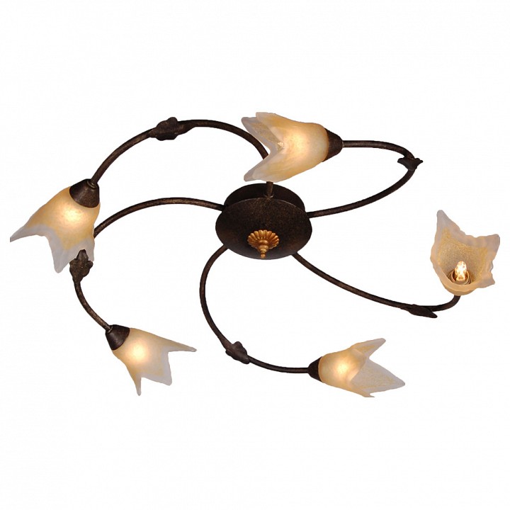 Потолочная люстра Arte Lamp Joy A1050PL-5BR