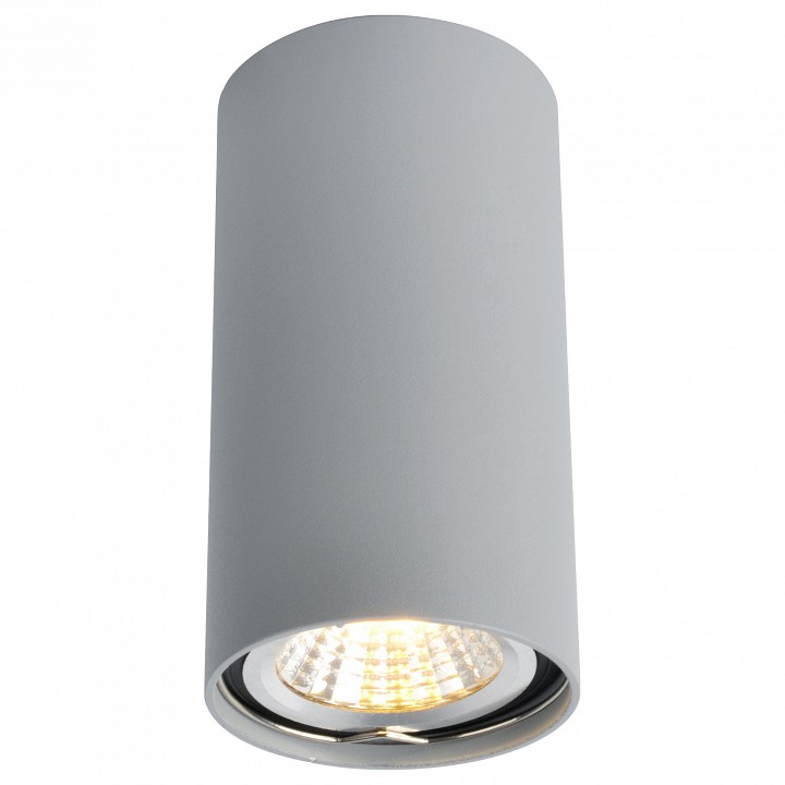 Накладной светильник Arte Lamp 1516 A1516PL-1GY