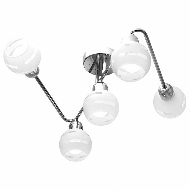 Потолочная люстра IDLamp 361 361/5A-Whitechrome