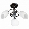 Люстра на штанге TopLight Marianna TL2660X-03WC