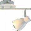 Спот Arte Lamp Gioved A6008PL-2WH