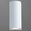 Накладной светильник Arte Lamp 3102 A3102AL-2WH