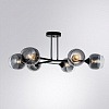 Люстра на штанге Arte Lamp Salm A3580PL-6BK