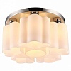 Накладной светильник Arte Lamp Canzone A3489PL-6CC