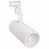 Светильник на штанге Arlight Lgd-Zeus LGD-ZEUS-2TR-R100-30W Warm3000 (WH, 20-60 deg)