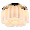 Накладной светильник Arte Lamp Canzone A3489PL-6CC