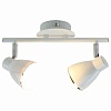 Спот Arte Lamp Gioved A6008PL-2WH