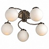 Люстра на штанге Arte Lamp Cloud A8170PL-5SS