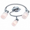 Спот Arte Lamp Cavalletta A4510PL-3SS