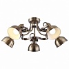 Люстра на штанге Arte Lamp Martin A5216PL-5AB