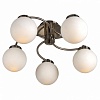 Люстра на штанге Arte Lamp Cloud A8170PL-5SS