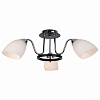 Потолочная люстра Arte Lamp Fiorentino A7144PL-3BK