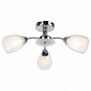 Люстра на штанге Arte Lamp Carmela A7201PL-3CC