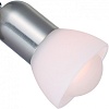 Спот Arte Lamp Falena A3115AP-1SS