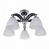 Люстра на штанге IDLamp Fayora 287/5PF-Blackchrome