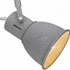 Спот Arte Lamp 1677 A1677PL-4GY