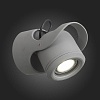 Светильник на штанге ST-Luce Round SL093.701.01