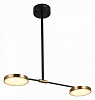 Светильник на штанге ST-Luce Farone SL1605.403.02