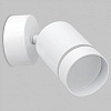 Спот Imex ARTA LED IL.0005.1601 WH