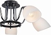 Потолочная люстра Arte Lamp Fiorentino A7144PL-5BK