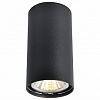 Накладной светильник Arte Lamp 1516 A1516PL-1BK