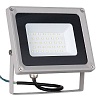 Прожектор светодиодный Elektrostandard 006 FL LED 30W 6500K 4690389101243