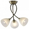 Потолочная люстра Arte Lamp Nikki A2576PL-3AB