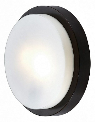 Накладной светильник Odeon Light Holger 2744/2C