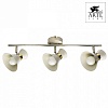 Спот Arte Lamp Baltimore A1406PL-3WG