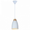 Подвесной светильник TopLight Leah TL0724H-2W