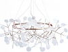 Подвесная люстра Loft it Heracleum 9022-108