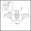 Потолочная люстра Lumion Alora 4461/3C