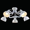 Люстра на штанге Arte Lamp Martin A5216PL-5WG