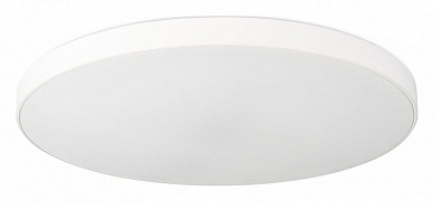 Накладной светильник SIMPLE STORY 1204 1204-LED48CL