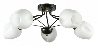 Потолочная люстра Arte Lamp Brighton A2706PL-5CK