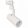 Светильник на штанге Arlight Lgd-Zeus LGD-ZEUS-2TR-R67-10W White6000 (WH, 20-60 deg)