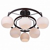 Потолочная люстра Arte Lamp Fiorentino A7148PL-6CK