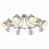 Люстра на штанге Arte Lamp Martin A5216PL-8WG