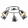 Спот Arte Lamp Campana A9557PL-5CC