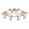 Люстра на штанге Arte Lamp Martin A5216PL-8WG